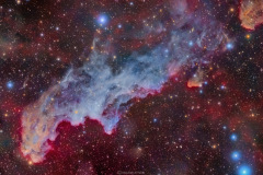 WitchHead_Alharbi_3051_5_9_23